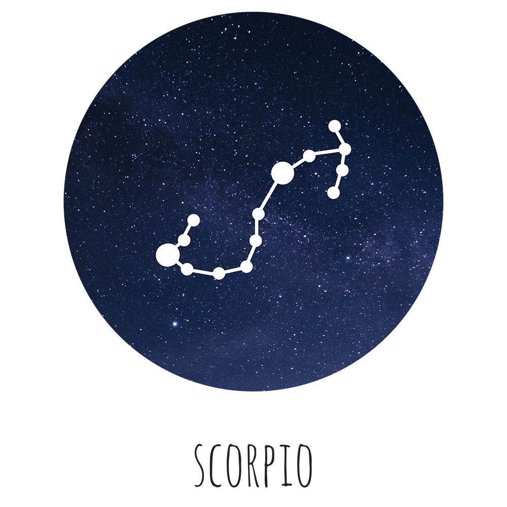 Scorpio stjernetegn - t-shirt - Billede 2