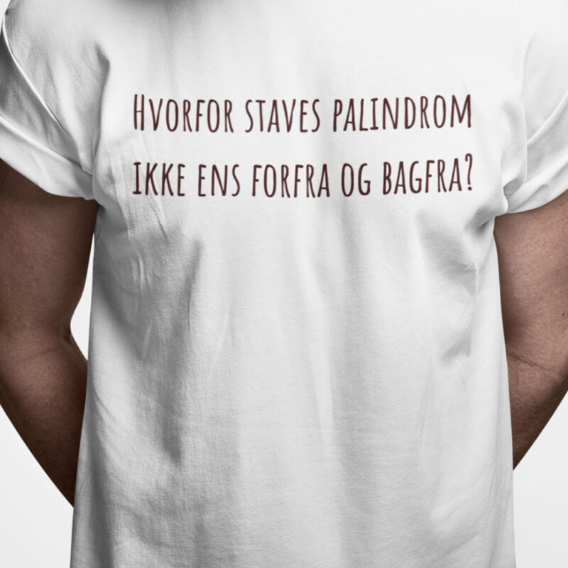 Hvorfor staves palindrom ikke ens forfra og bagfra?