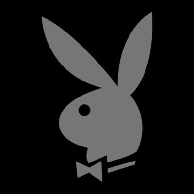 Alternative view of Bunny