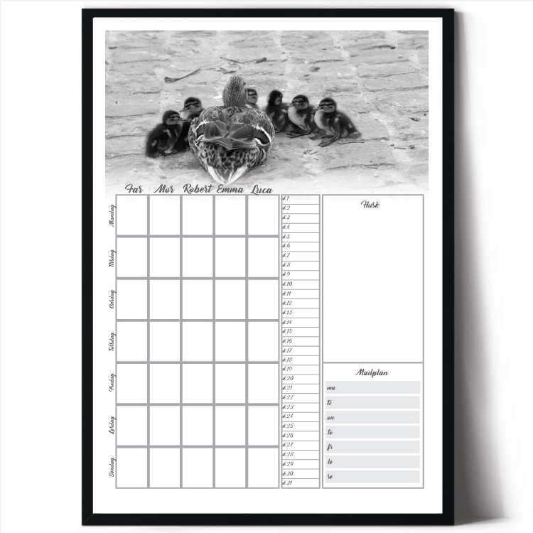 Foto - planlægningskalender - 5 kolonner