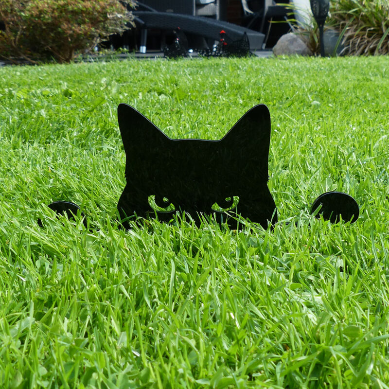 Lurende kat