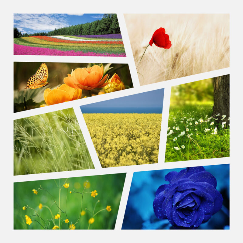Kvadratisk Fotocollage med  8 billeder - asymetriske rammer - DESIGN SELV