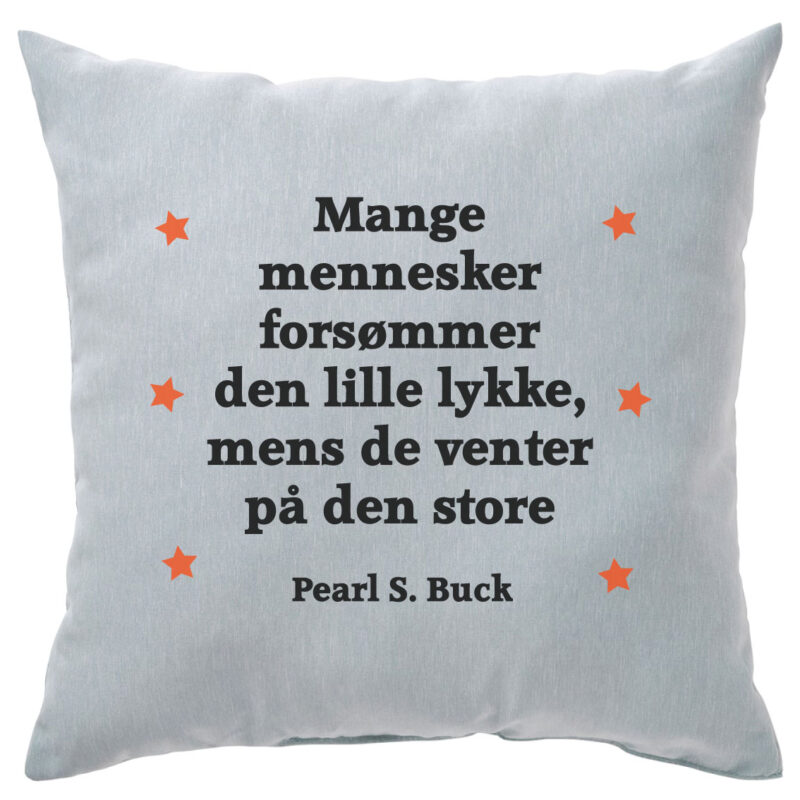 Motivationspude: "Mange mennesker forsømmer den lille lykke, mens de venter på den store"