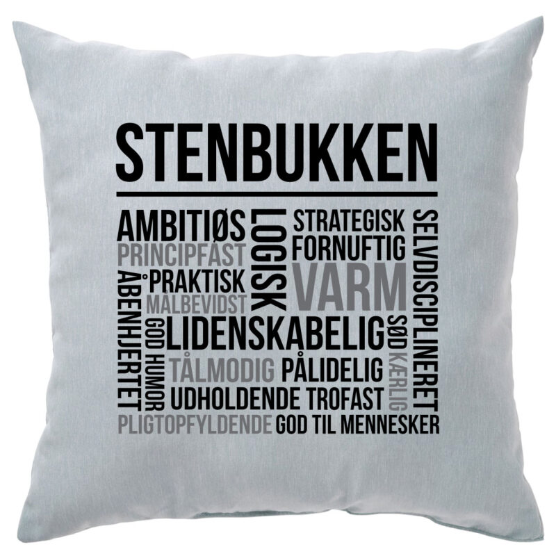 Stjernetegnspude: "Stenbukken"