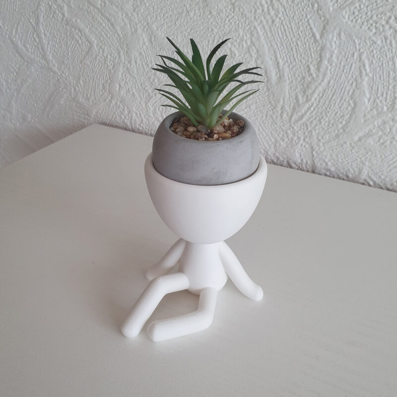 3D print: Robert Slapper af - stor - inkl. kunstig plante