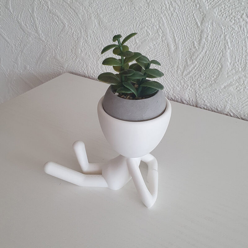 3D print: Robert ligger ned - stor - inkl. kunstig plante