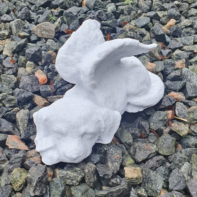 Grå meleret hund med vinger