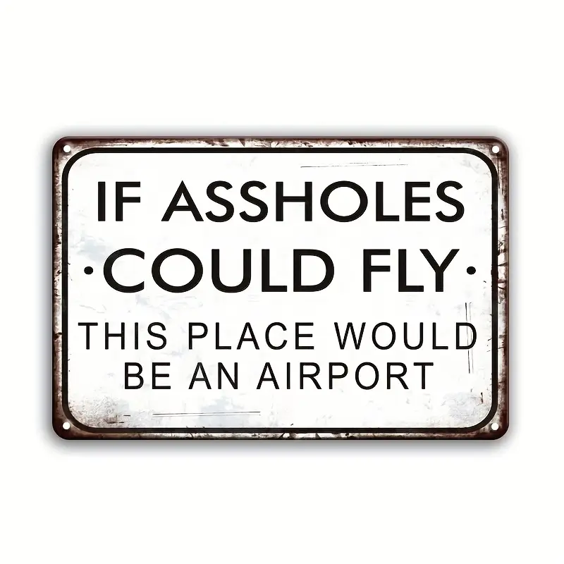 Vintage Retro Style Metalskilt: If assholes could fly this place would be an airport (30 x 20 cm)