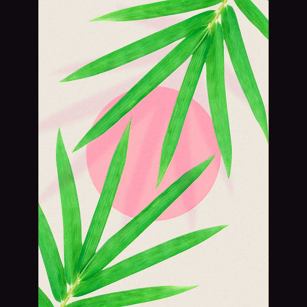 Tropical & Botanical Gallery #1 - Billede 2