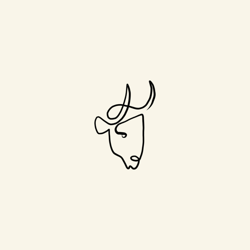 Picasso style - Tyr