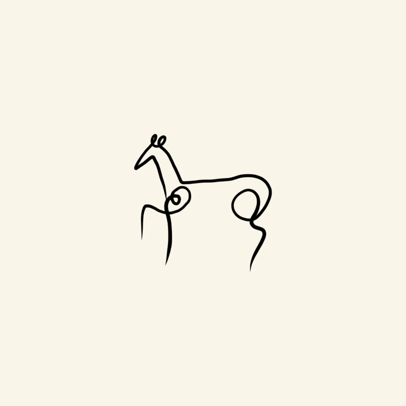 Picasso style - Hest