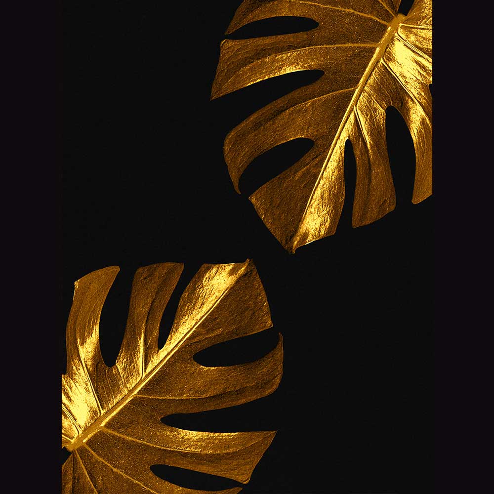 Tropical & Botanical Gallery #15 - Billede 2