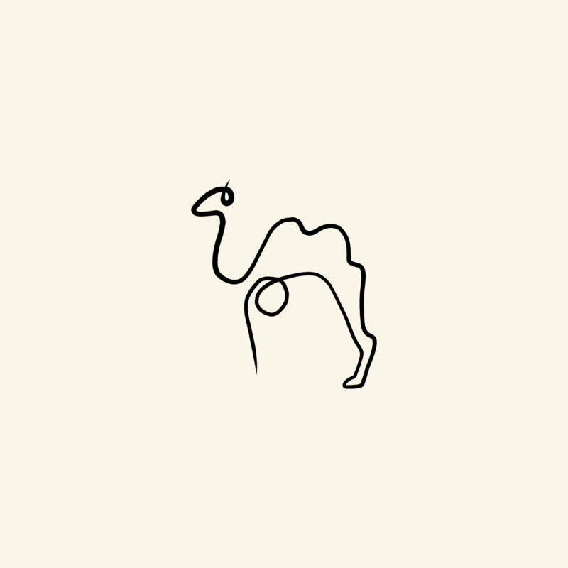 Picasso style - Kamel