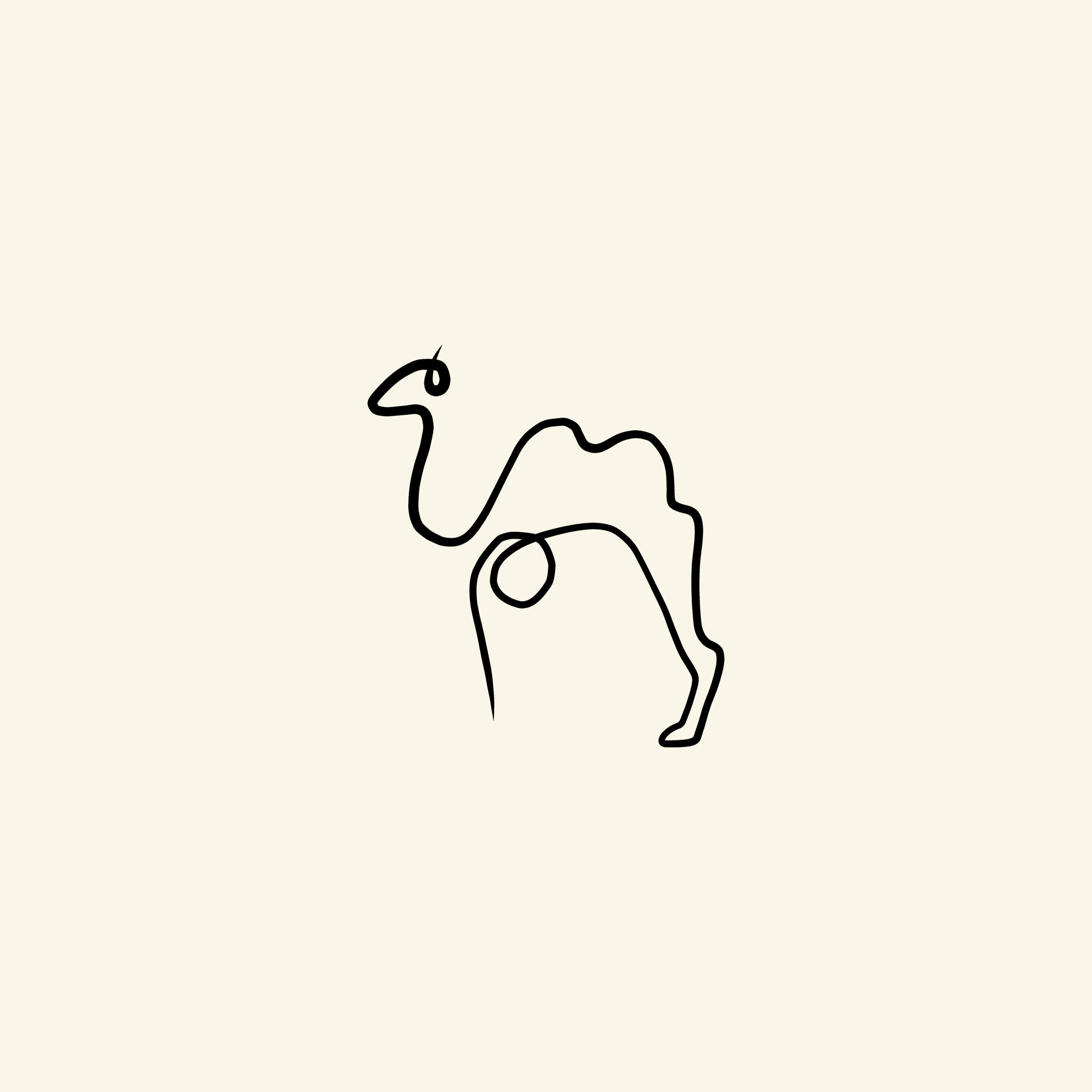 Picasso style - Kamel