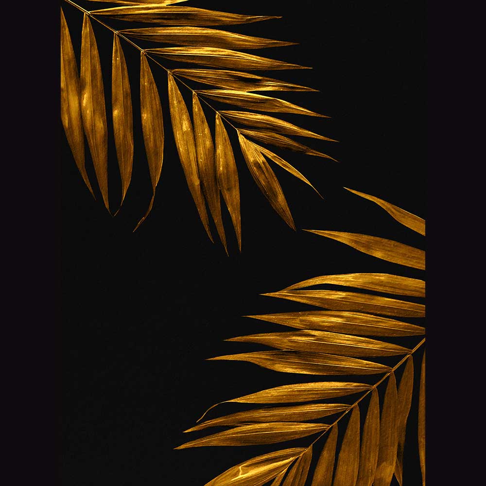 Tropical & Botanical Gallery #17 - Billede 2