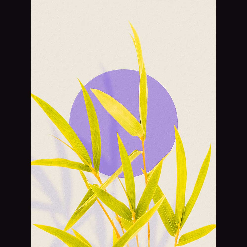 Tropical & Botanical Gallery #2 - Billede 2