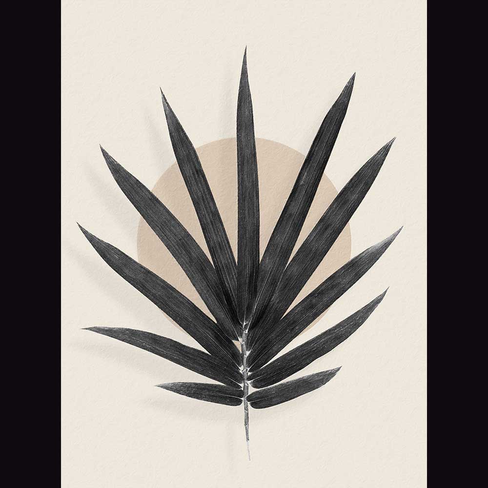Tropical & Botanical Gallery #20 - Billede 2