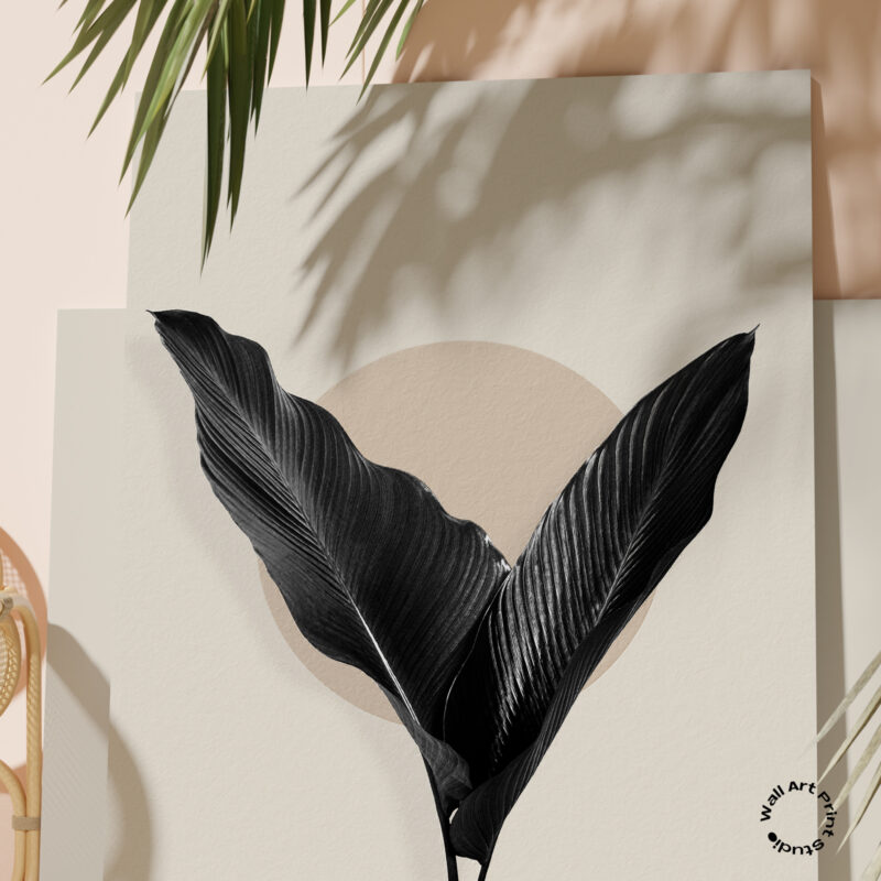 Tropical & Botanical Gallery #22