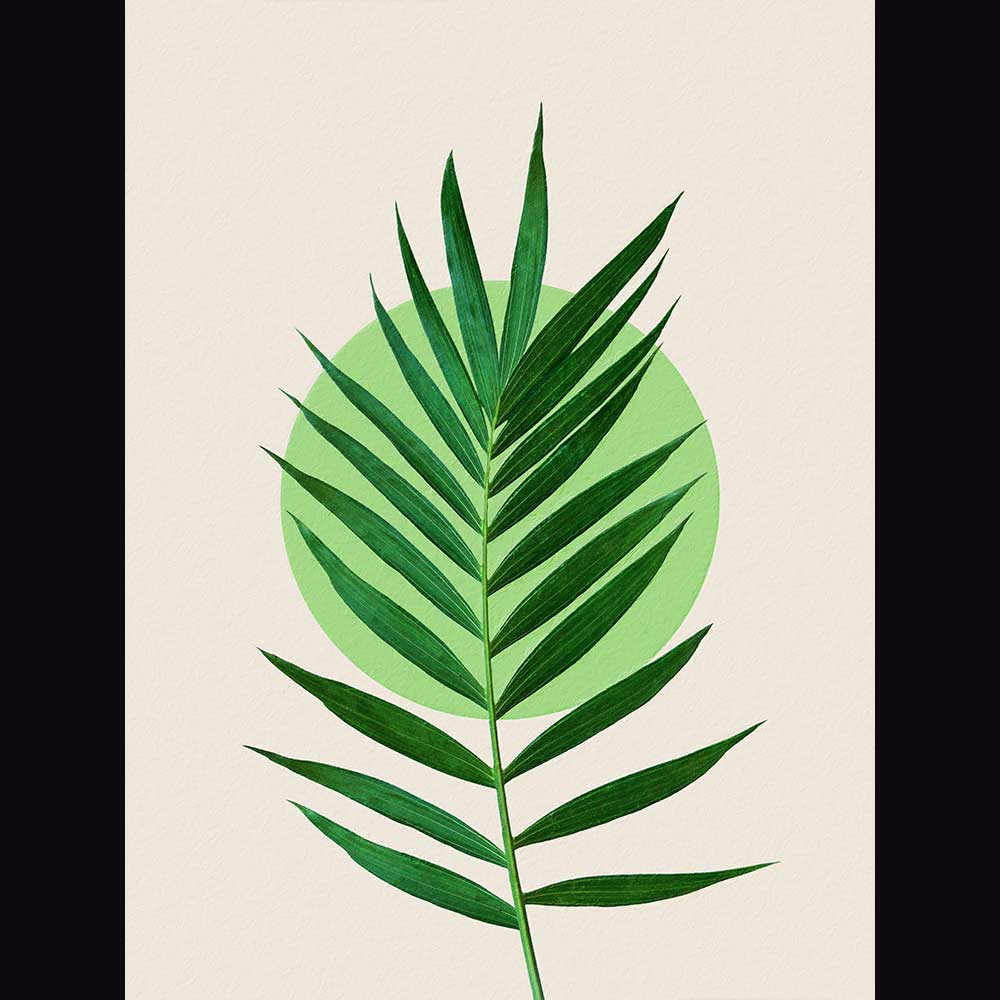 Tropical & Botanical Gallery #6 - Billede 2