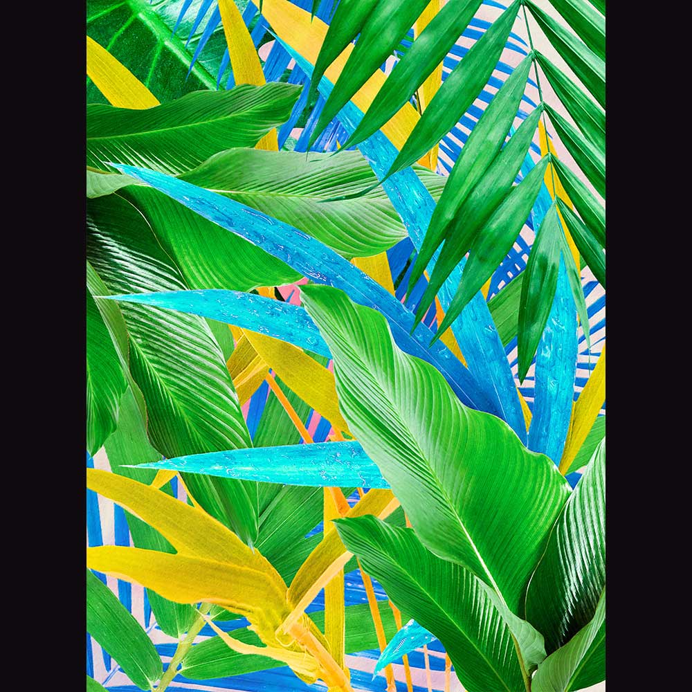 Tropical & Botanical Gallery #8 - Billede 2