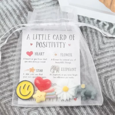 Pocket Hug / Lommekrammer: Positivitetskort med 5 genstande og tilhørende pose - Billede 6