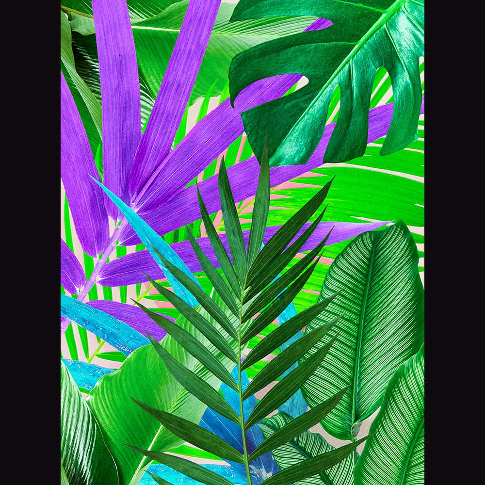 Tropical & Botanical Gallery #9 - Billede 2