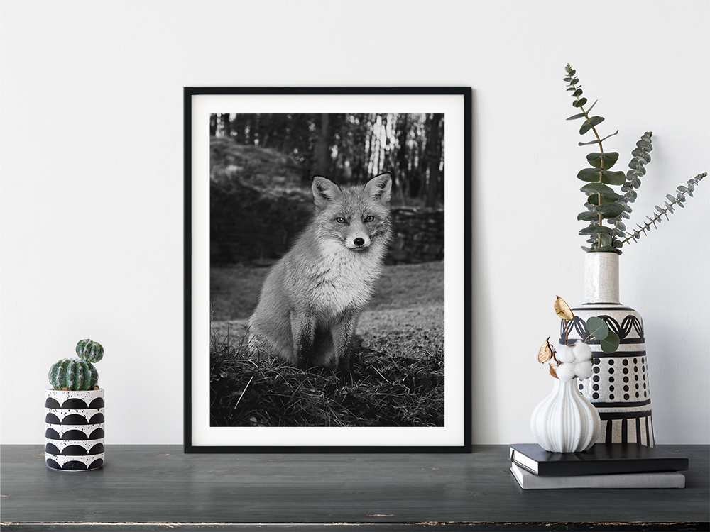 Grey Art Nature - Fox - Billede 2