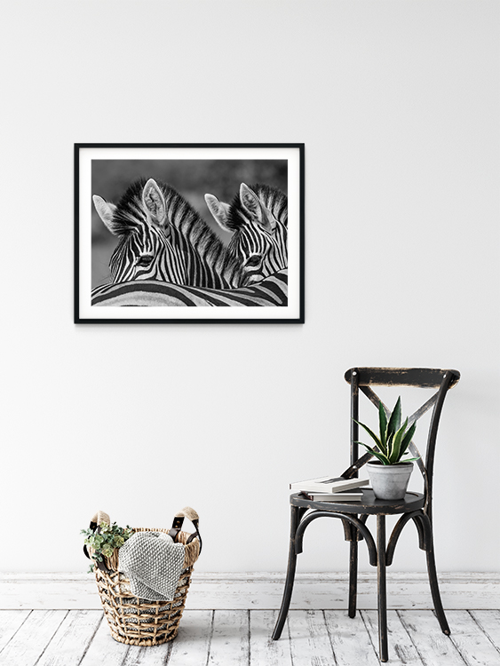 Grey Art Nature - Zebra 2 - Billede 2