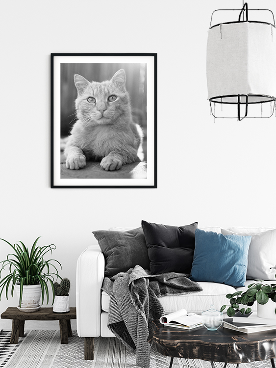Grey Art Nature - Cat - Billede 2