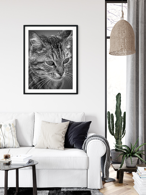 Grey Art Nature - Cat 2 - Billede 2