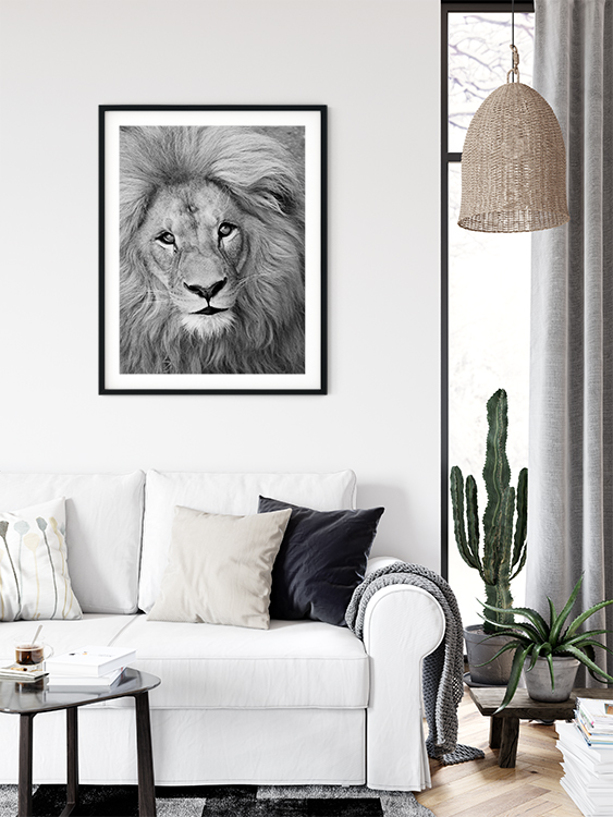 Grey Art Nature - Lion 3 - Billede 2