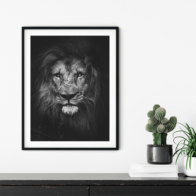 Grey Art Nature - Lion 4 - Billede 2