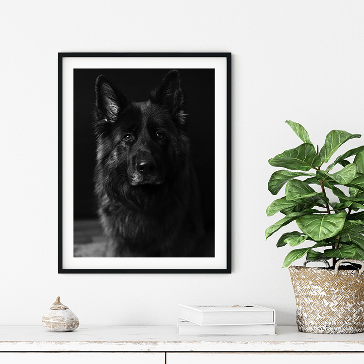 Grey Art Nature - Dog - Billede 2