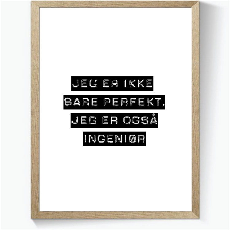Jeg er ikke bare perfekt, jeg er også ingeniør