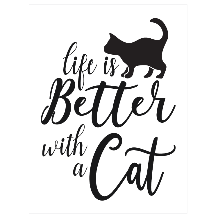 Life is better with a cat