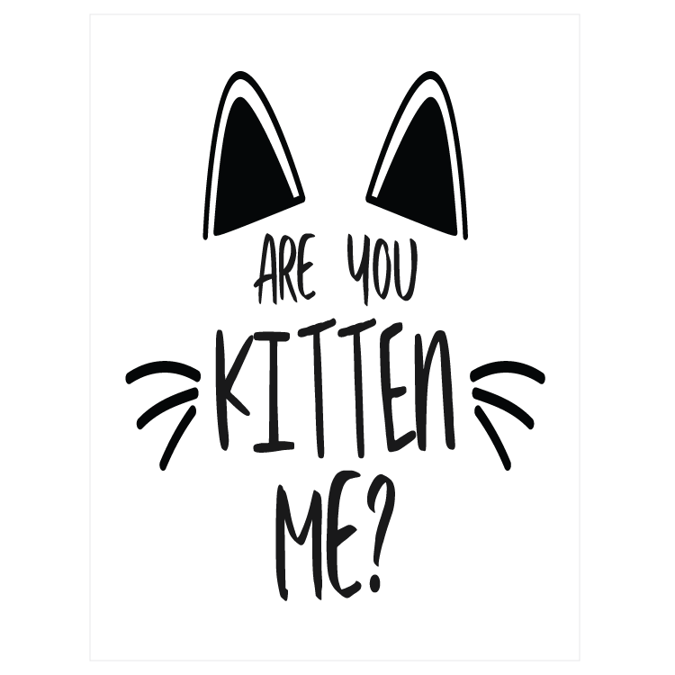 Are you kitten me?