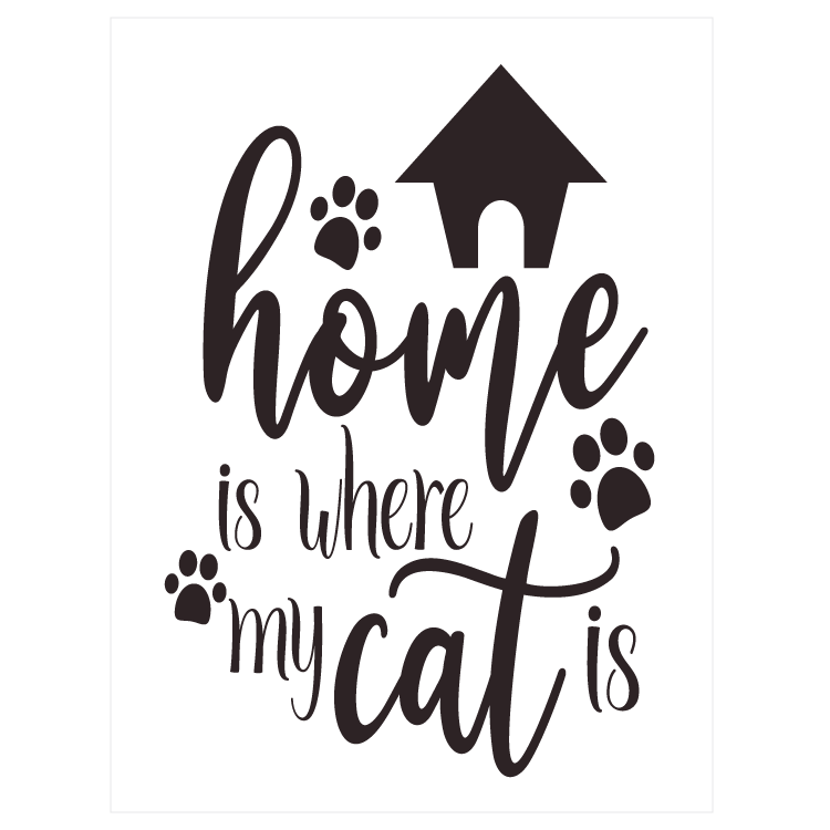 Home is where my cat is