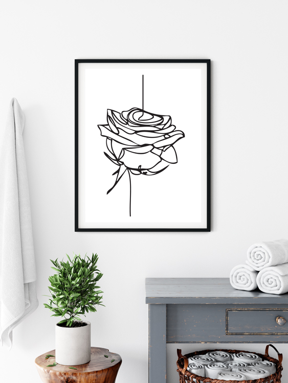 Rose 1 - Billede 2