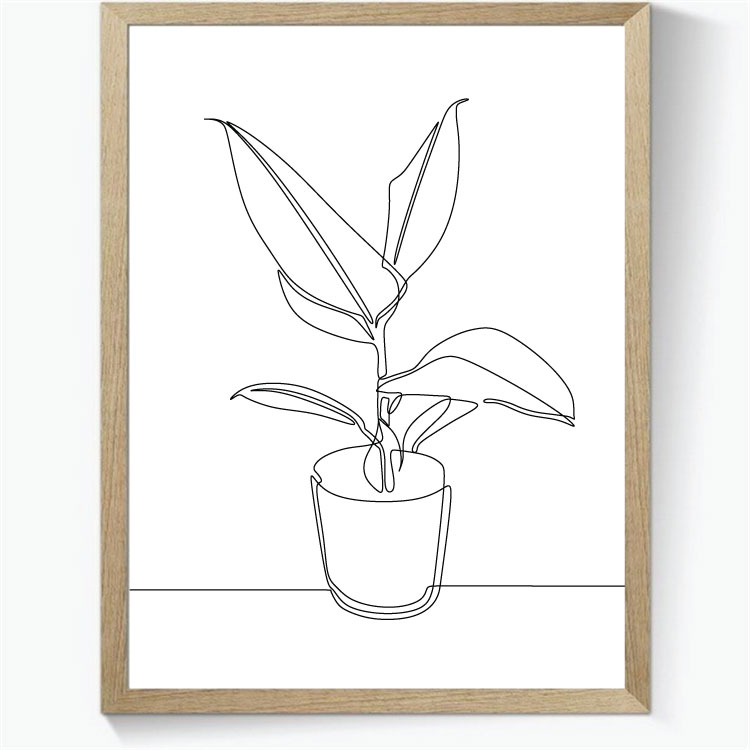 Plante