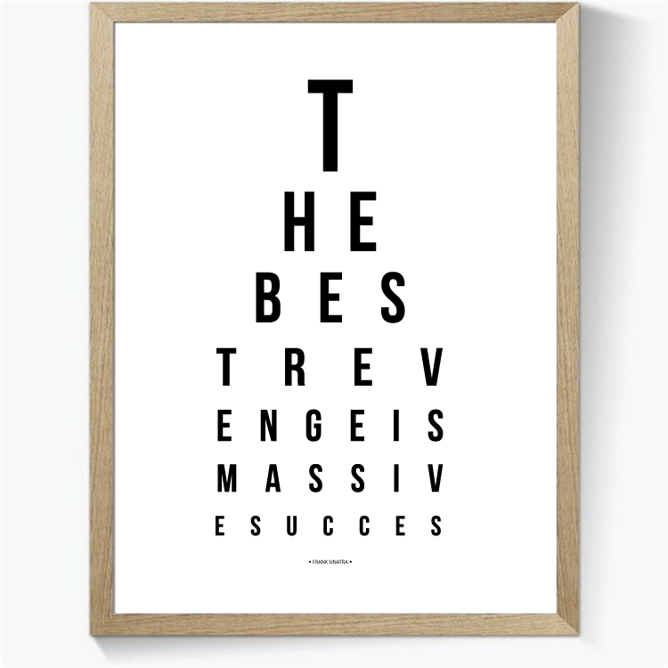Synstavle plakat - The best revenge is massive success