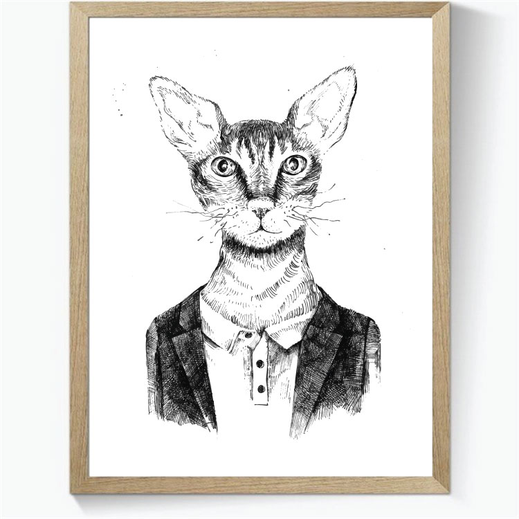 Animal Hipsters: Kat - sort/hvid