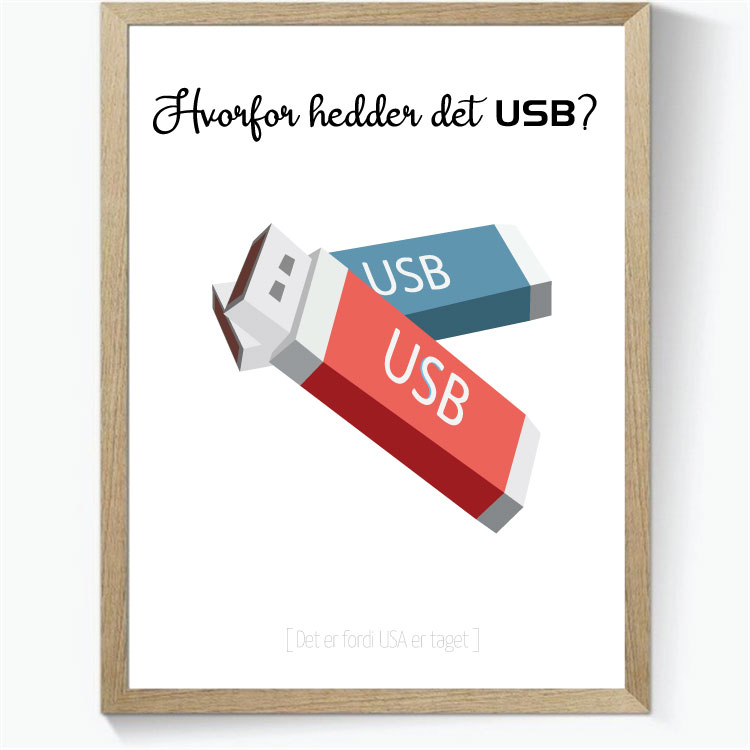 Hvorfor hedder det USB?
