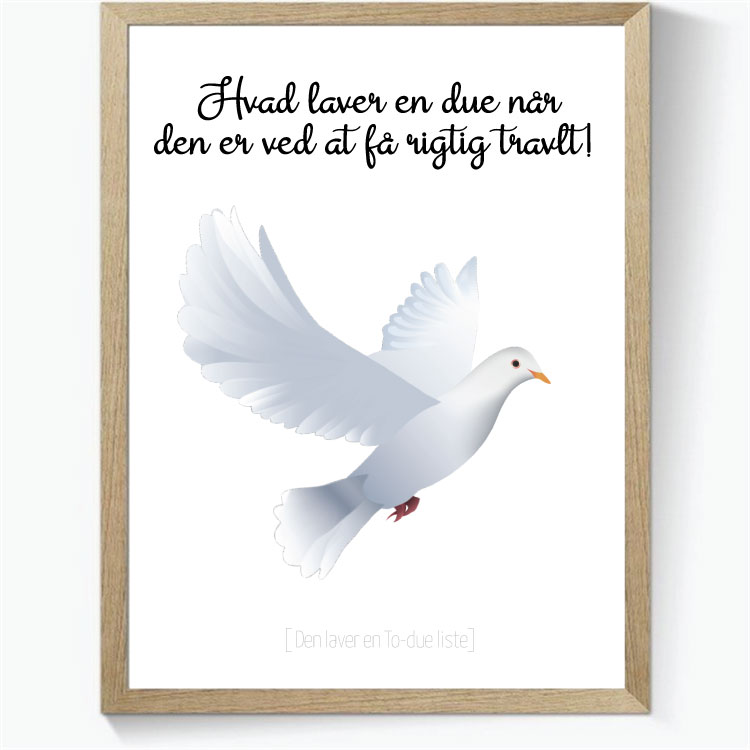 Hvad laver en due når den er ved at få rigtig travlt?