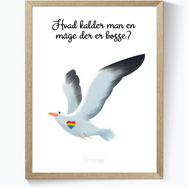 Hvad kalder man en måge der er bøsse?