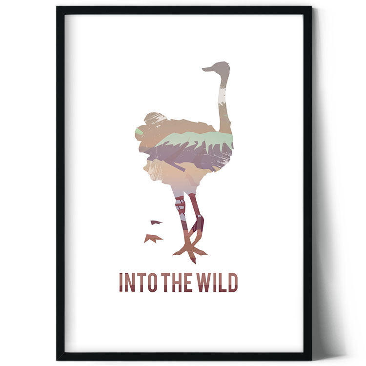 Into the wild: Struds
