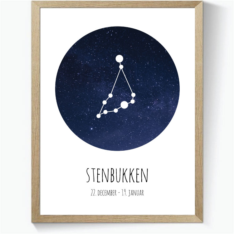 Stjernehimmel - Stenbukken
