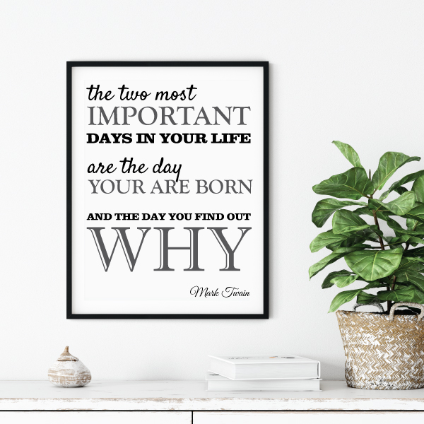 The Two Most Important Days.... - Billede 2