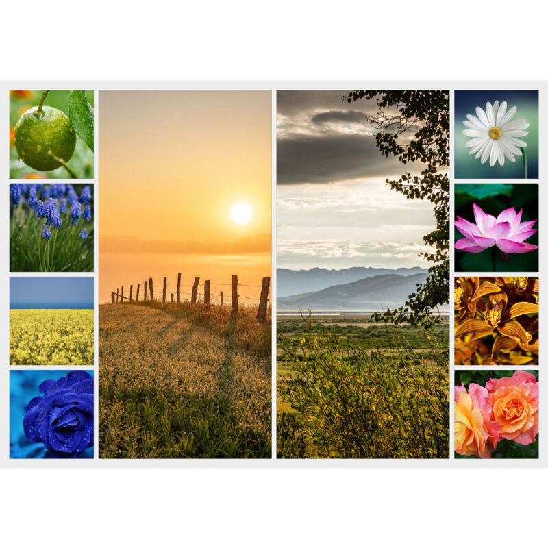 Fotocollage med 10 billeder - DESIGN SELV