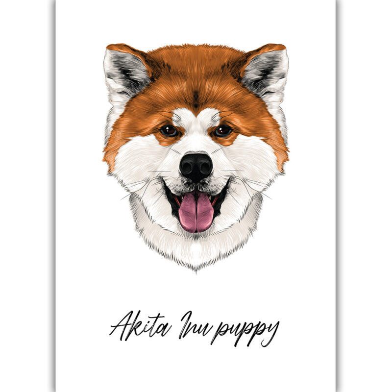 Akita Inu Puppy - Farvet