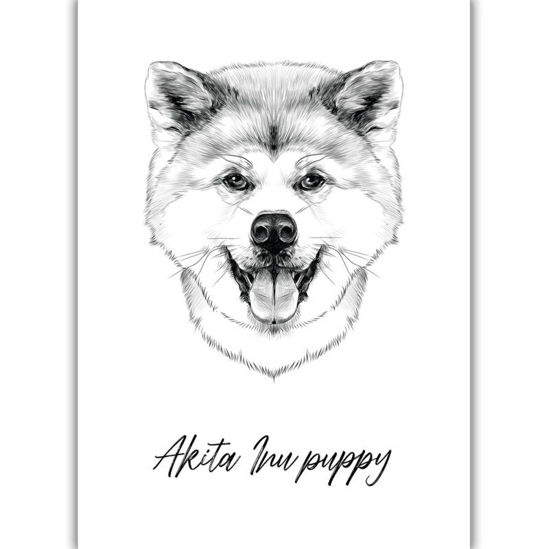 Akita Inu Puppy - sort/hvid